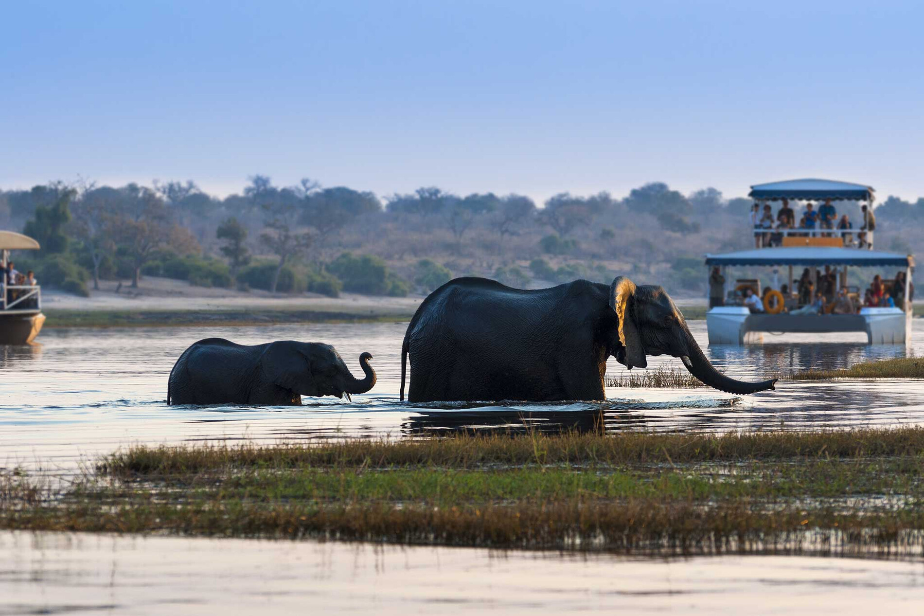 Chobe Game Lodge